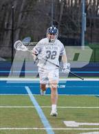 Photo from the gallery "Stamford @ Wilton"