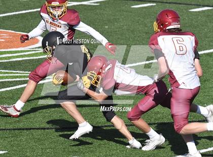 Thumbnail 1 in El Modena @ Canyon photogallery.