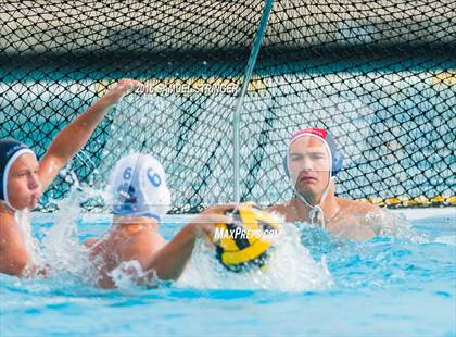 Thumbnail 1 in Buchanan @ Acalanes (Saint Francis Invitational) photogallery.