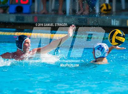 Thumbnail 2 in Buchanan @ Acalanes (Saint Francis Invitational) photogallery.
