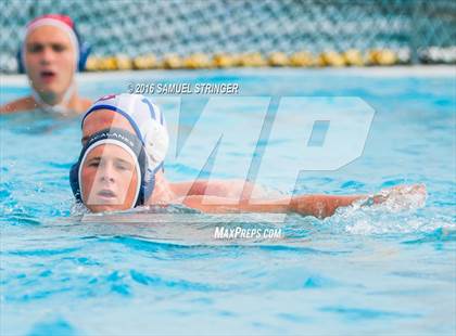 Thumbnail 2 in Buchanan @ Acalanes (Saint Francis Invitational) photogallery.