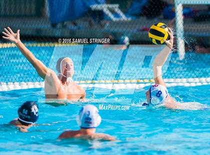 Thumbnail 1 in Buchanan @ Acalanes (Saint Francis Invitational) photogallery.