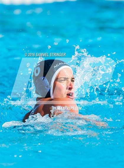 Thumbnail 1 in Buchanan @ Acalanes (Saint Francis Invitational) photogallery.