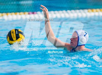 Thumbnail 1 in Buchanan @ Acalanes (Saint Francis Invitational) photogallery.