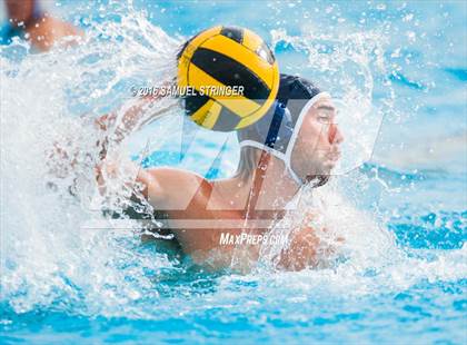 Thumbnail 1 in Buchanan @ Acalanes (Saint Francis Invitational) photogallery.