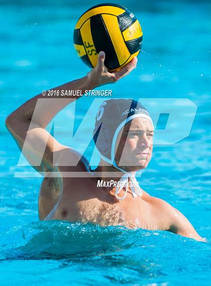 Thumbnail 1 in Buchanan @ Acalanes (Saint Francis Invitational) photogallery.
