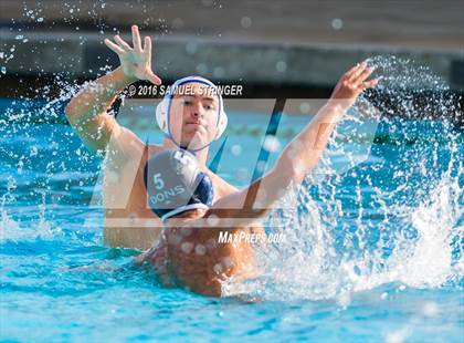 Thumbnail 3 in Buchanan @ Acalanes (Saint Francis Invitational) photogallery.
