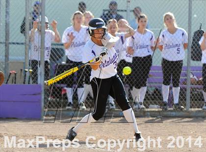 Thumbnail 3 in Analy @ Petaluma photogallery.