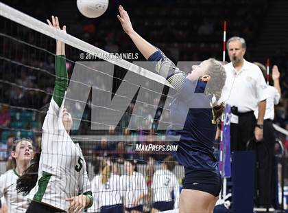 Thumbnail 2 in Niwot vs. Palmer Ridge (CHSAA 4A Pool 4 Playoff) photogallery.