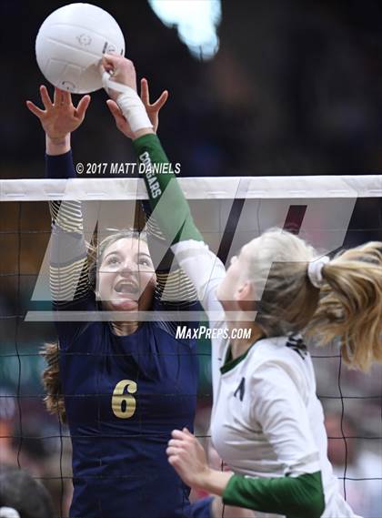 Thumbnail 1 in Niwot vs. Palmer Ridge (CHSAA 4A Pool 4 Playoff) photogallery.
