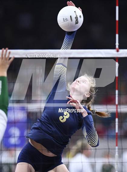 Thumbnail 3 in Niwot vs. Palmer Ridge (CHSAA 4A Pool 4 Playoff) photogallery.