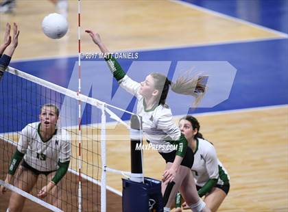 Thumbnail 2 in Niwot vs. Palmer Ridge (CHSAA 4A Pool 4 Playoff) photogallery.