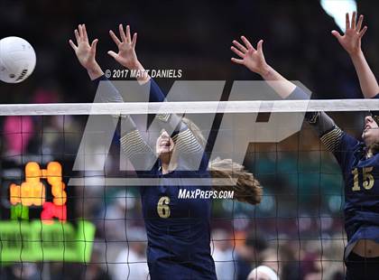Thumbnail 3 in Niwot vs. Palmer Ridge (CHSAA 4A Pool 4 Playoff) photogallery.