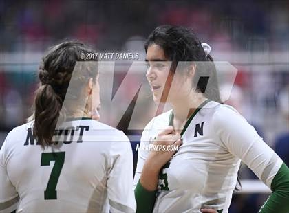 Thumbnail 1 in Niwot vs. Palmer Ridge (CHSAA 4A Pool 4 Playoff) photogallery.