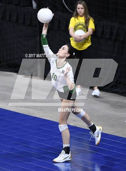 Thumbnail 1 in Niwot vs. Palmer Ridge (CHSAA 4A Pool 4 Playoff) photogallery.