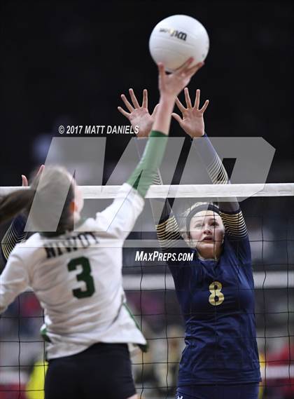 Thumbnail 1 in Niwot vs. Palmer Ridge (CHSAA 4A Pool 4 Playoff) photogallery.