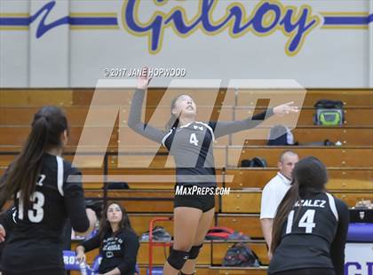 Thumbnail 3 in Pajaro Valley @ Gilroy photogallery.
