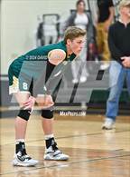 Photo from the gallery "Bear Creek @ D'Evelyn"