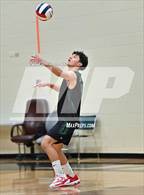 Photo from the gallery "Bear Creek @ D'Evelyn"