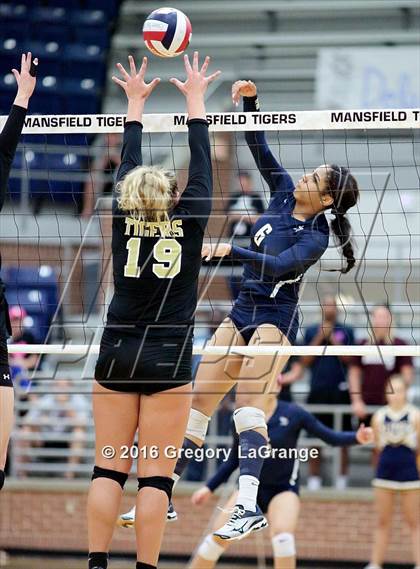 Thumbnail 3 in Lamar @ Mansfield photogallery.