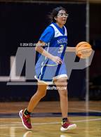 Photo from the gallery "Needles vs. North Tahoe (NIAA 2A State Championship)"