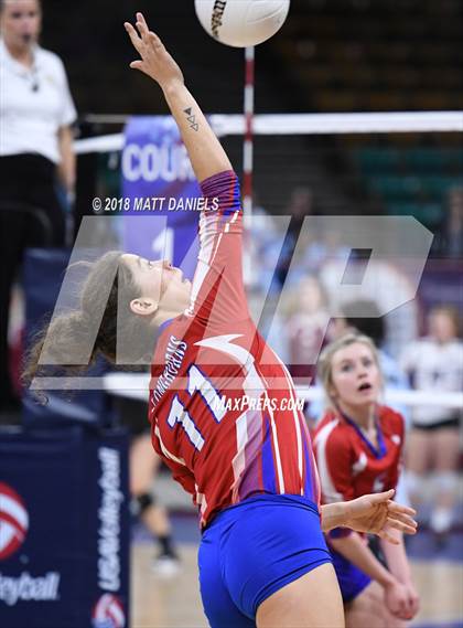 Thumbnail 3 in Springfield vs. Haxtun (CHSAA 1A First Round) photogallery.
