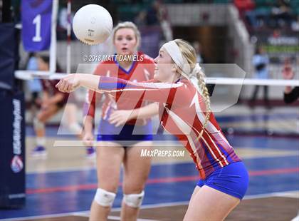 Thumbnail 1 in Springfield vs. Haxtun (CHSAA 1A First Round) photogallery.