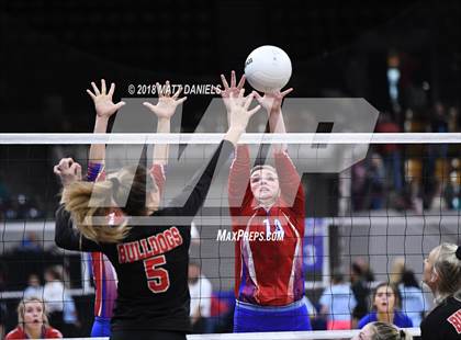 Thumbnail 2 in Springfield vs. Haxtun (CHSAA 1A First Round) photogallery.