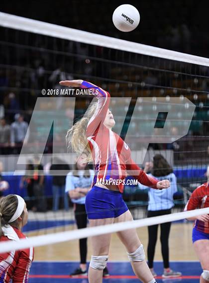 Thumbnail 1 in Springfield vs. Haxtun (CHSAA 1A First Round) photogallery.