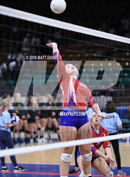 Thumbnail 3 in Springfield vs. Haxtun (CHSAA 1A First Round) photogallery.
