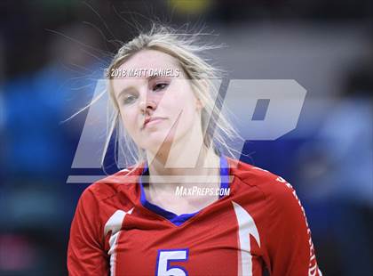 Thumbnail 3 in Springfield vs. Haxtun (CHSAA 1A First Round) photogallery.