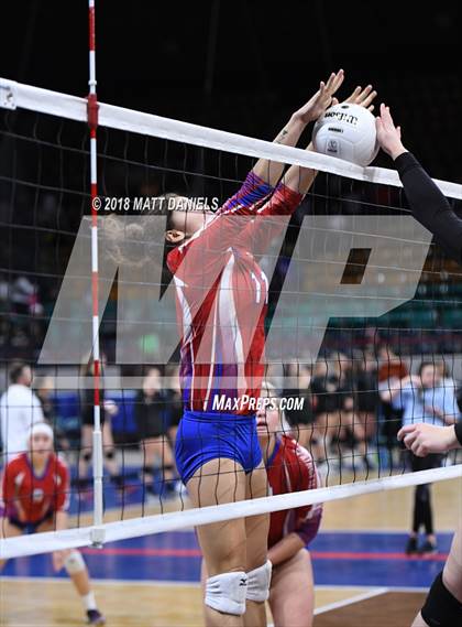 Thumbnail 1 in Springfield vs. Haxtun (CHSAA 1A First Round) photogallery.