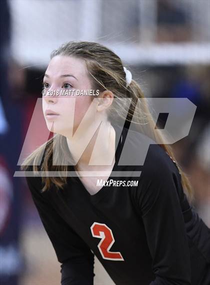 Thumbnail 1 in Springfield vs. Haxtun (CHSAA 1A First Round) photogallery.