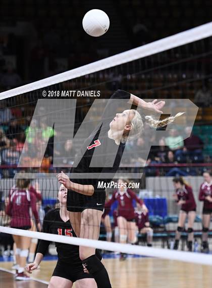 Thumbnail 1 in Springfield vs. Haxtun (CHSAA 1A First Round) photogallery.