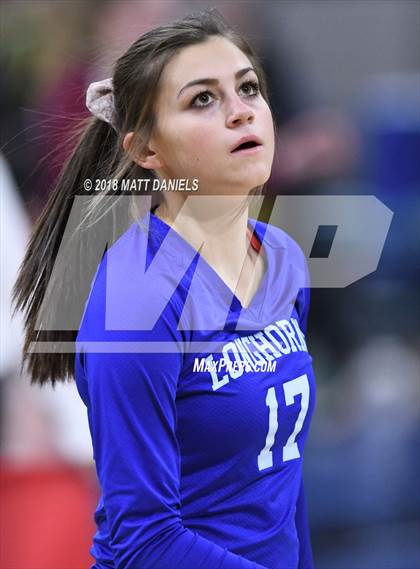 Thumbnail 3 in Springfield vs. Haxtun (CHSAA 1A First Round) photogallery.