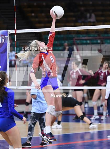 Thumbnail 2 in Springfield vs. Haxtun (CHSAA 1A First Round) photogallery.
