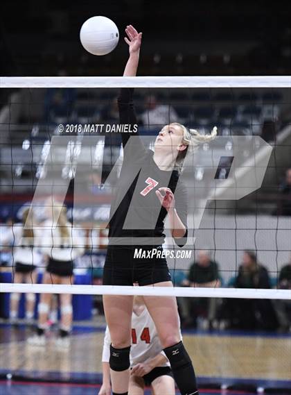 Thumbnail 1 in Springfield vs. Haxtun (CHSAA 1A First Round) photogallery.