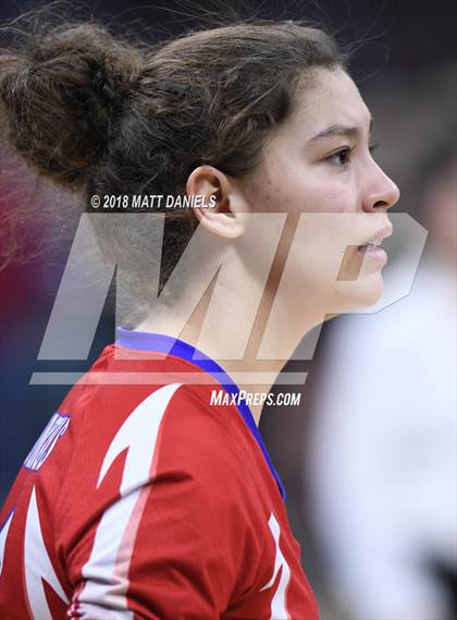 Thumbnail 1 in Springfield vs. Haxtun (CHSAA 1A First Round) photogallery.
