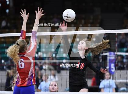 Thumbnail 1 in Springfield vs. Haxtun (CHSAA 1A First Round) photogallery.