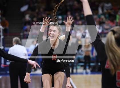 Thumbnail 1 in Springfield vs. Haxtun (CHSAA 1A First Round) photogallery.
