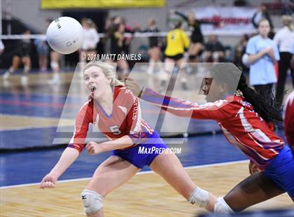 Thumbnail 1 in Springfield vs. Haxtun (CHSAA 1A First Round) photogallery.