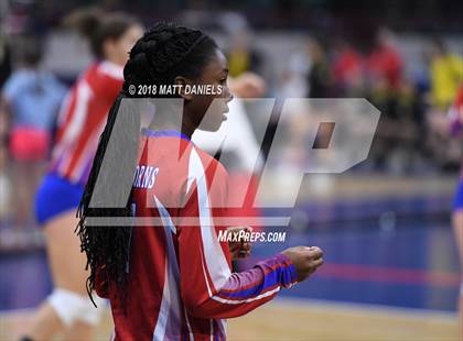 Thumbnail 2 in Springfield vs. Haxtun (CHSAA 1A First Round) photogallery.