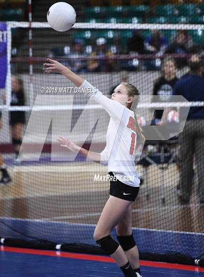 Thumbnail 2 in Springfield vs. Haxtun (CHSAA 1A First Round) photogallery.