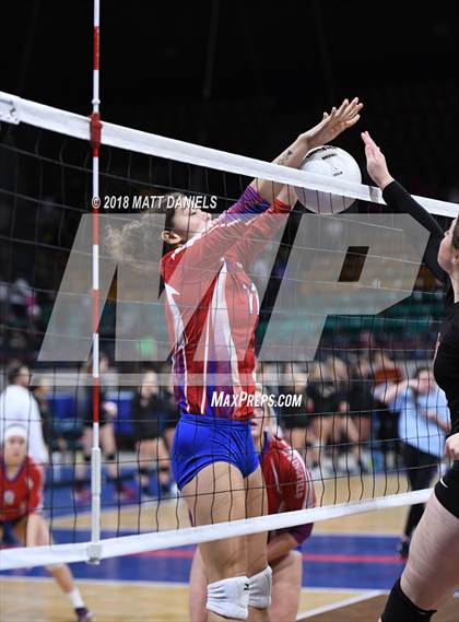 Thumbnail 2 in Springfield vs. Haxtun (CHSAA 1A First Round) photogallery.