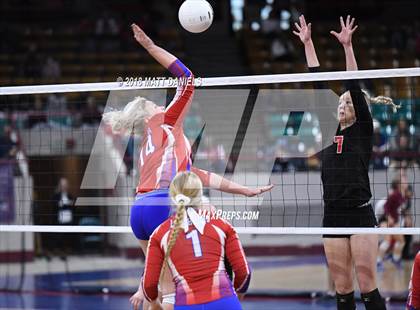 Thumbnail 3 in Springfield vs. Haxtun (CHSAA 1A First Round) photogallery.