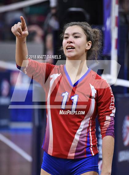 Thumbnail 2 in Springfield vs. Haxtun (CHSAA 1A First Round) photogallery.