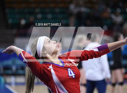 Thumbnail 1 in Springfield vs. Haxtun (CHSAA 1A First Round) photogallery.