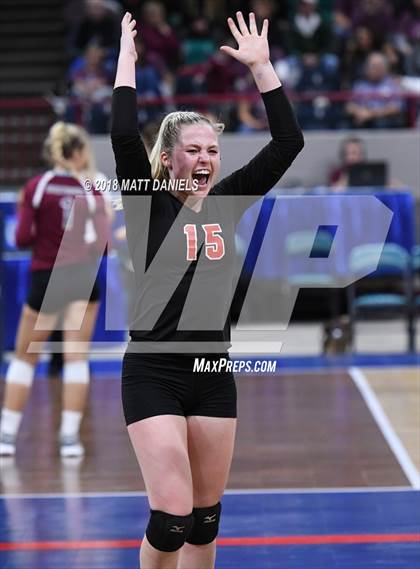 Thumbnail 2 in Springfield vs. Haxtun (CHSAA 1A First Round) photogallery.