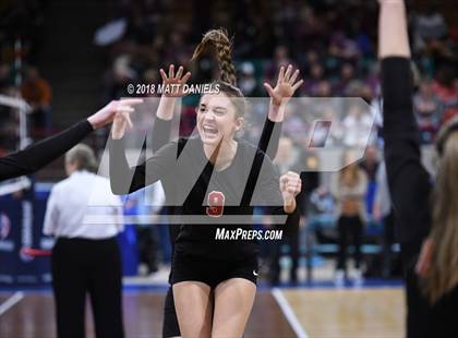 Thumbnail 3 in Springfield vs. Haxtun (CHSAA 1A First Round) photogallery.