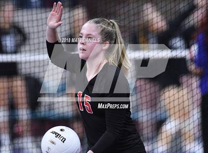Thumbnail 2 in Springfield vs. Haxtun (CHSAA 1A First Round) photogallery.
